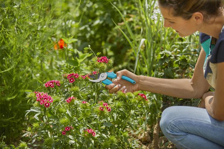 Actual product image Gardena Garden shears