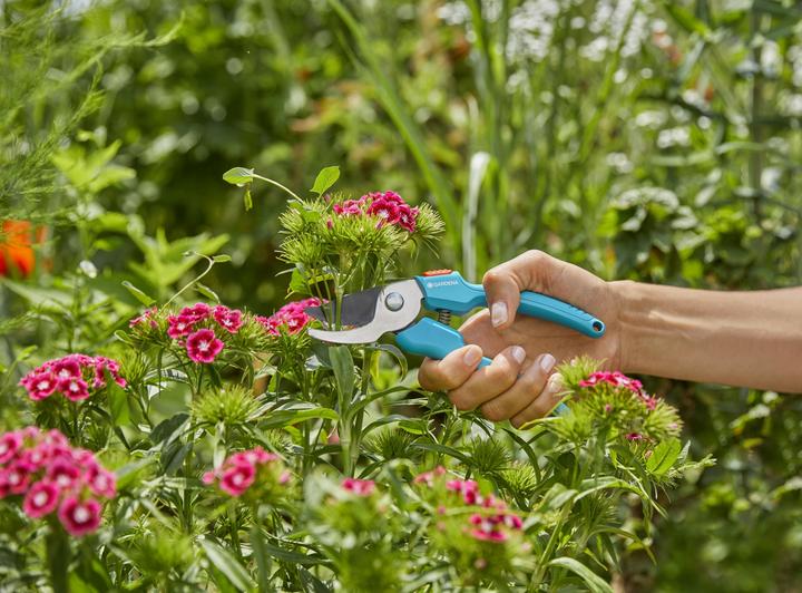 Actual product image Gardena Garden shears
