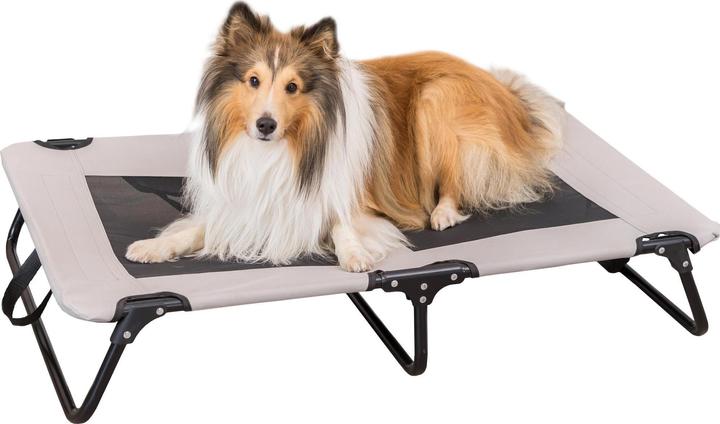 Actual product image Trixie Dog lounger Strong Edition, 99 x 19 x 60 cm (Dog)