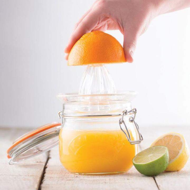 Actual product image Kilner Fruchtpresse
