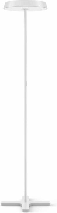 Actual product image Belux Koi-S Led Floor Lamp