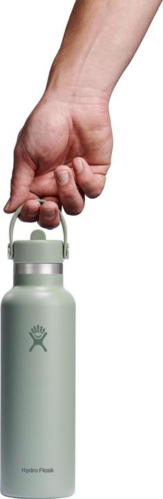 Actual product image Hydro Flask Standard Flex Straw Cap (0.62 l)