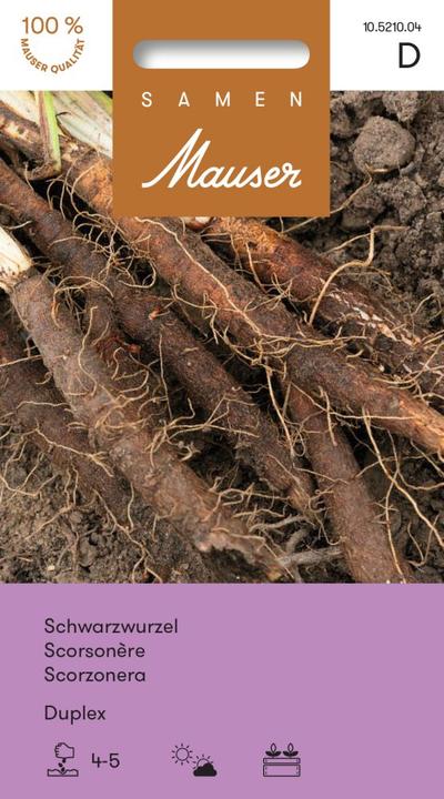 Produktbild Samen Mauser Schwarzwurzel Duplex (Gemüsesamen)
