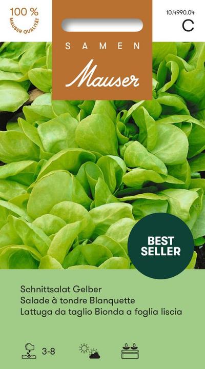 Actual product image Samen Mauser Yellow (Vegetable seeds)