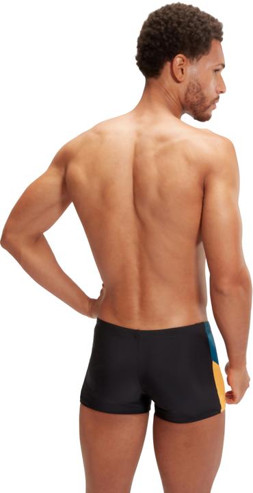 Image du produit Speedo Dive Aquashort (32)