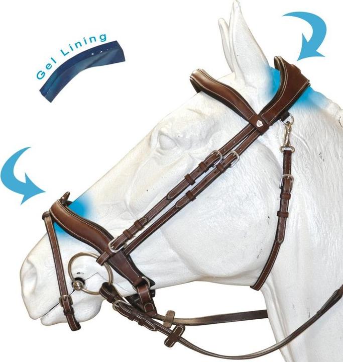 Immagine prodotto Flags&Cup Comfort