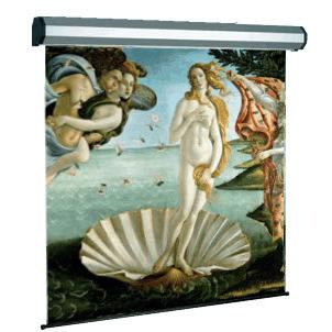 Sopar Electric professional schermo per proiettore 3,17 m (125') 1:1 (125", 1:1), Schermo di proiezione, Bianco