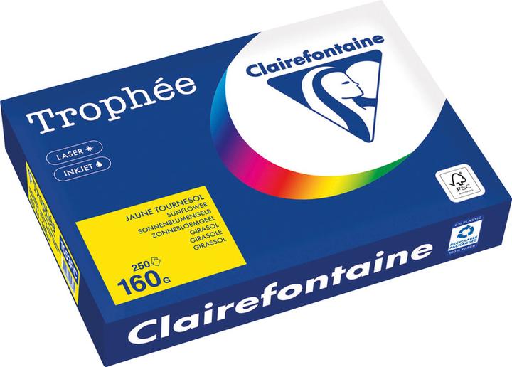 Actual product image Clairefontaine Universal paper Trophée coloured (160 g/m², A4)