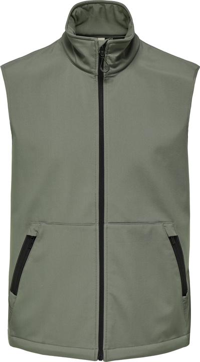 Gris Castor Gray