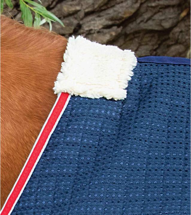 Immagine prodotto Premier Equine Dry-Tech (213 cm)