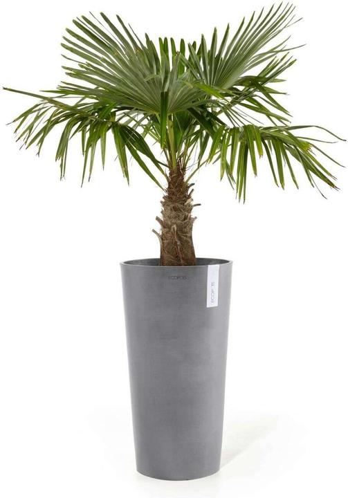Immagine prodotto Ecopots Amsterdam High (41.50 x 76 cm)