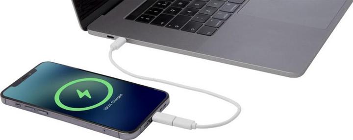 Produktbild Generic HandyAufladegerät Whiz (0.28 m)