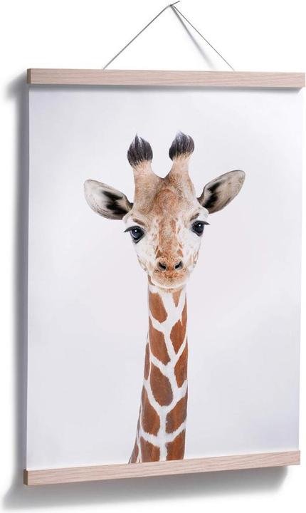 Actual product image Trenddeko Baby Giraffe (40 x 50 cm)