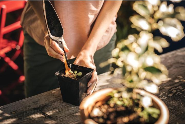 Actual product image Fiskars Solid Seed Plant Trowel