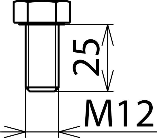 Actual product image Dehn Hexagon head screw DIN 933 M12x25mm NIRO 561925