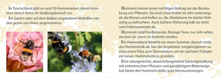 Immagine prodotto Dobar Box professionale per bombi (Calabroni)