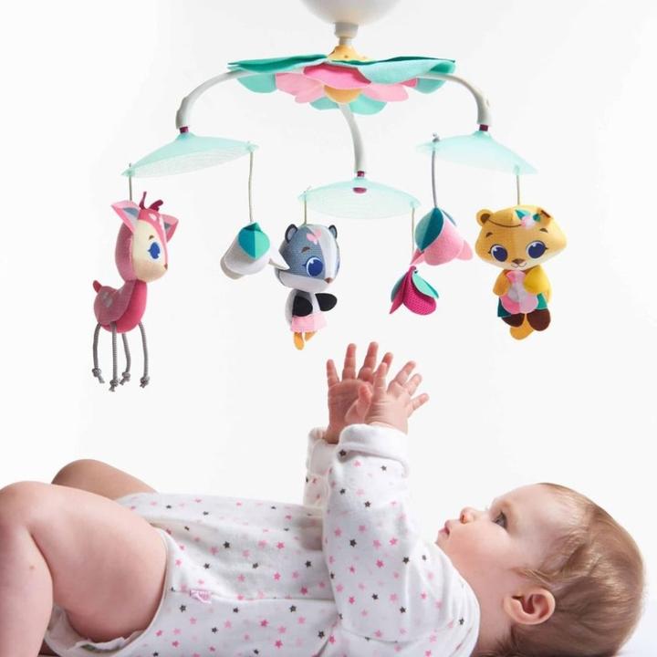 Image du produit Tiny Love Soothe n Groove