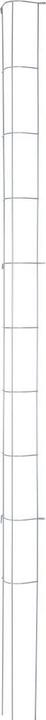 Actual product image Siena Garden Vegetable Rankturm (202 cm, 11.50 cm)