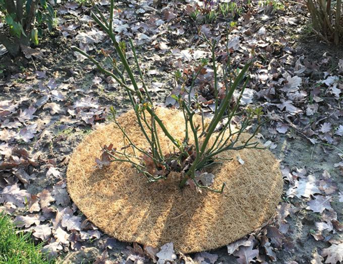 Produktbild Siena Garden Gartenbaufolie