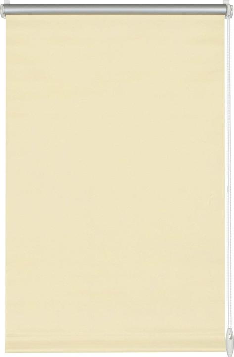 60 x 150 cm