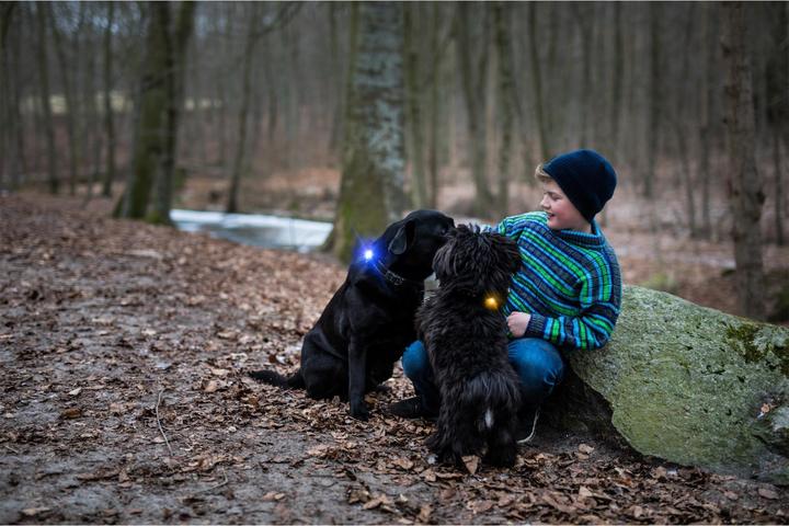 Image du produit Orbiloc Feu de sécurité double pour chien (Taille unique, Chien, Général)