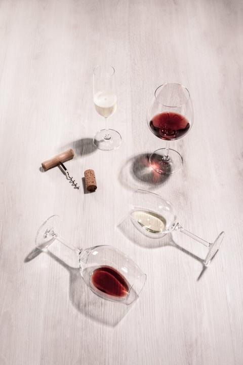Image du produit Schott Zwiesel For You (16 x)