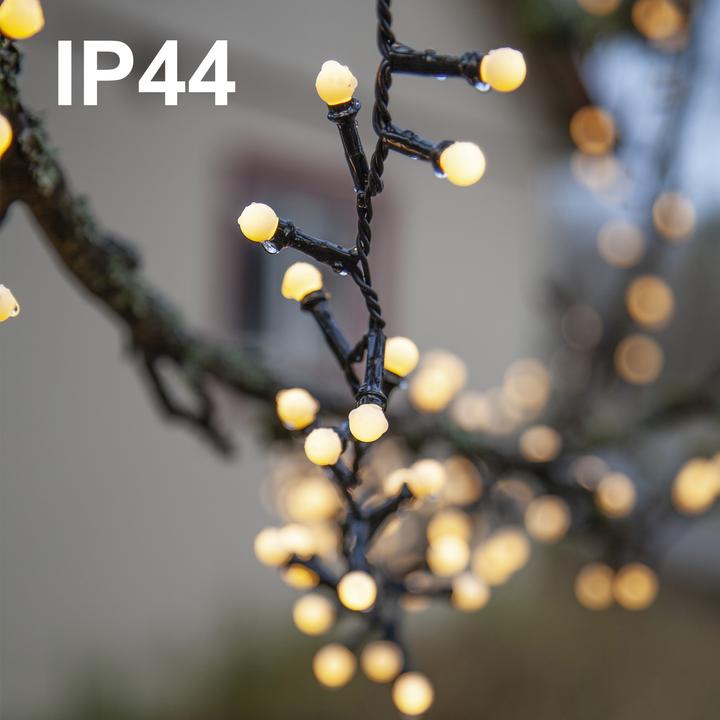 Actual product image Star Trading Berry Mini (6 m)