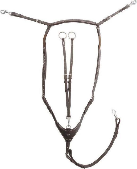 Image du produit Kavalkade Dexter