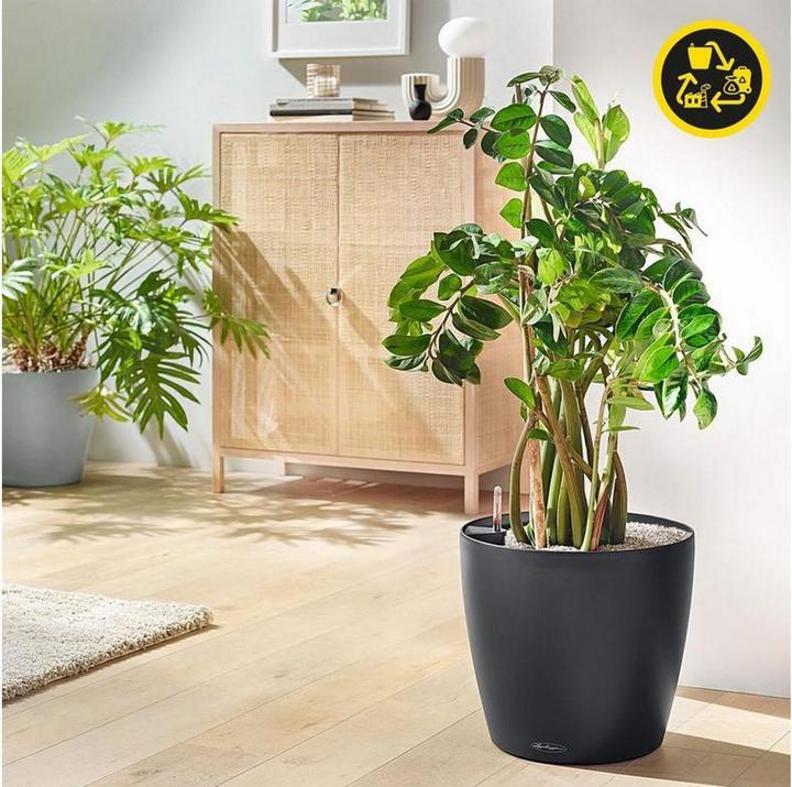 Produktbild Lechuza Classico Color Eco (21.50 x 21.50 x 20.50 cm)