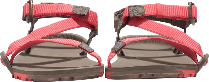 Actual product image Xero Shoes Z-Trail EV (36.5)