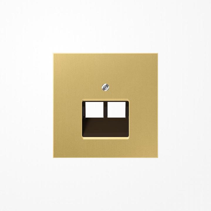 Actual product image JUNG Central plate UAE/IAE 2f LS ms mt ME2969-2UAC