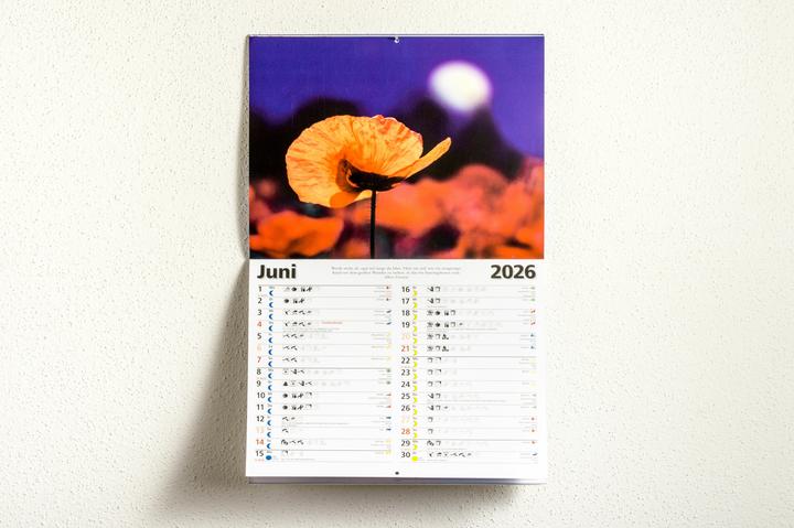Image du produit L'année lunaire 2026 - Calendrier mural (32 x 28 cm)