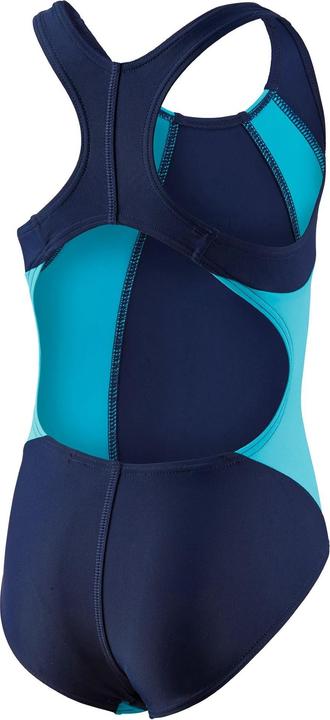 navy/turquoise