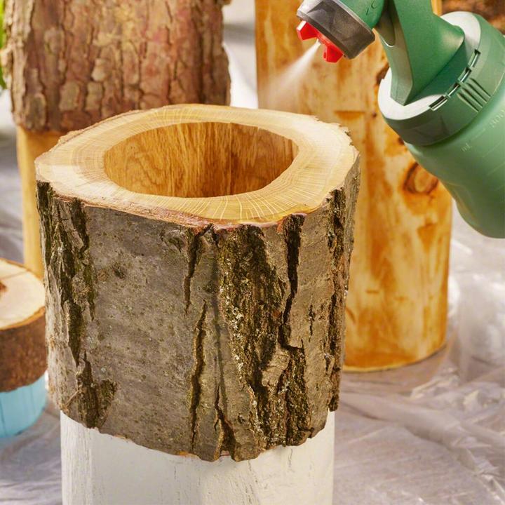 Produktbild Bosch Home & Garden Pfs 1000