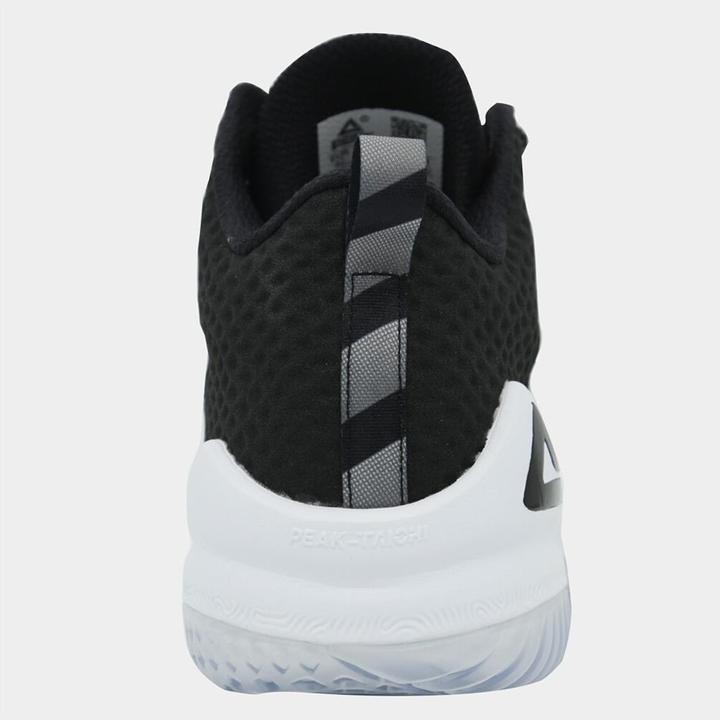 Produktbild Peak Ice Works hallenschuhe taichi lou williams 1 (46)