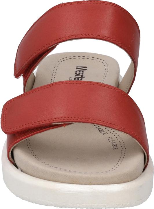 Actual product image Westland 25403-409 (42)