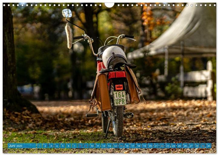 Actual product image Das Mofa meiner Jugend (Wandkalender 2025 DIN A3 quer), Monatskalender (A3)