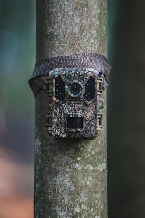 Immagine prodotto Braun Photo Scouting Cam Black200 mini WiFi