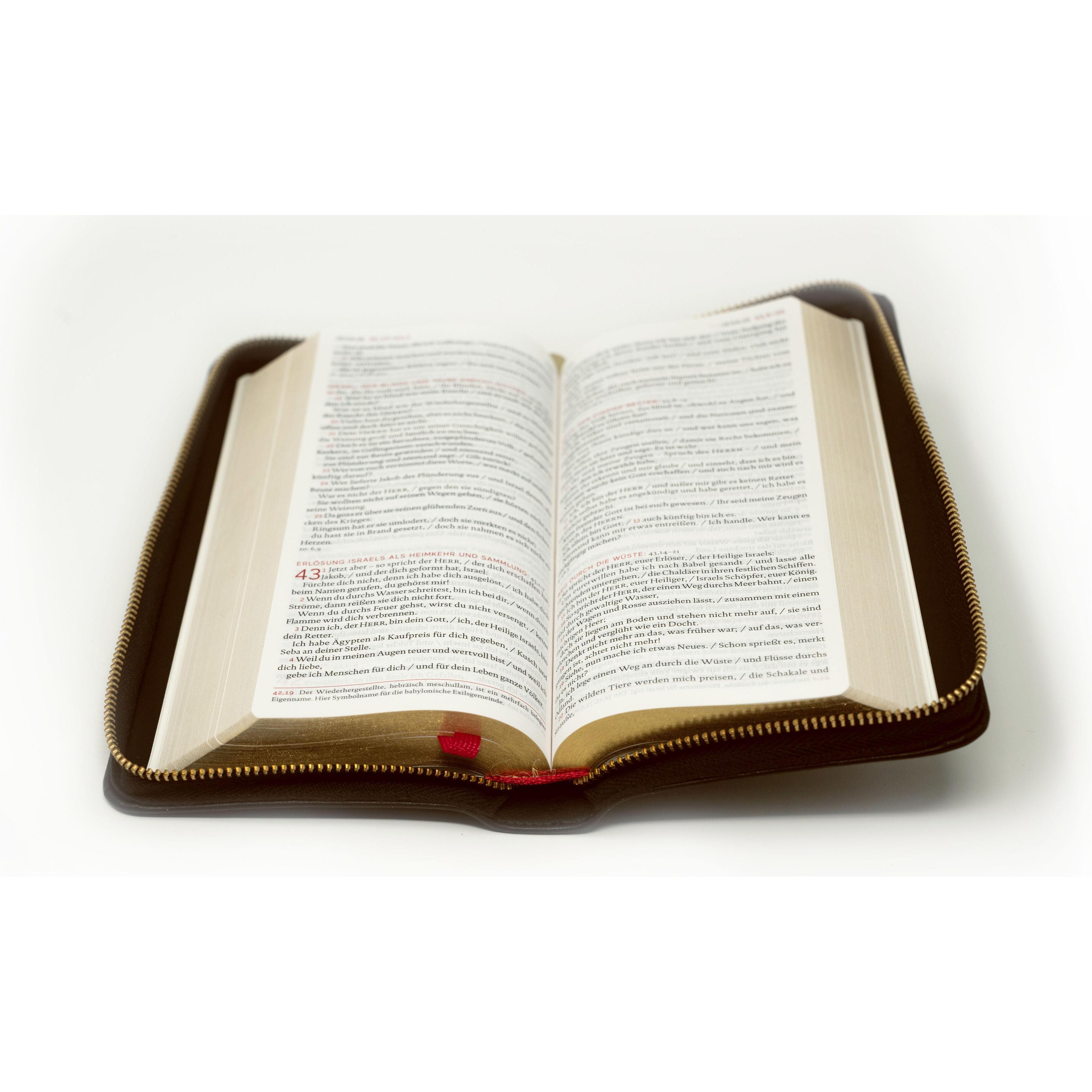Thumbnail - Die Bibel, Fachbücher von Österreichs Bischöfe Deutschlands