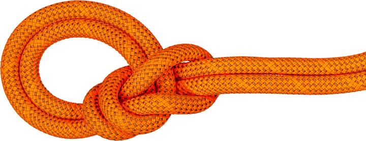 Immagine prodotto Mammut 9.8 Crag Dry Rope 70m (70 m)