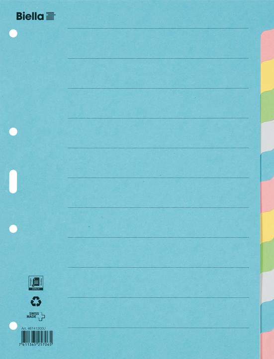 Immagine prodotto Biella Registrare Cartone