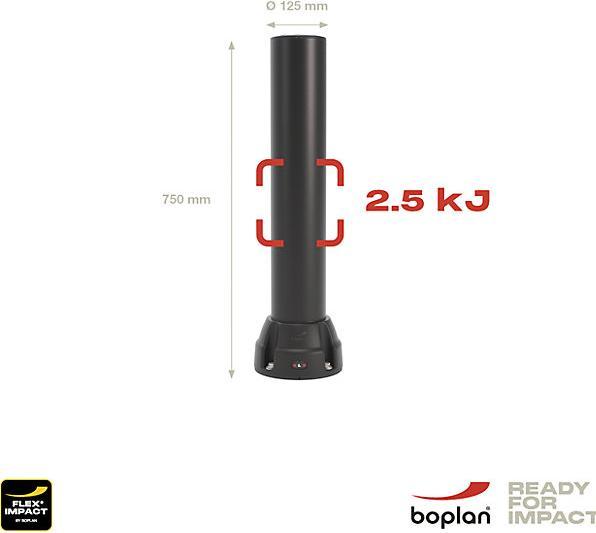 Produktbild Boplan Rammschutz-Poller 125L