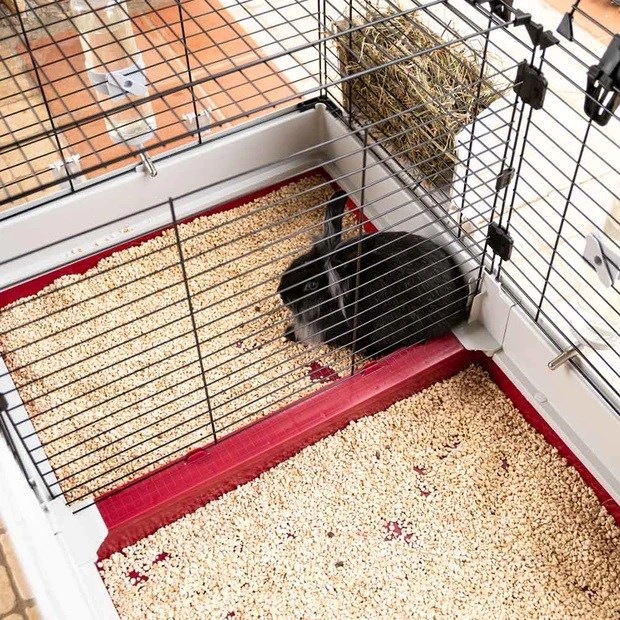 Actual product image Ferplast Rabbit cage Krolik 160, 162x60x50cm
