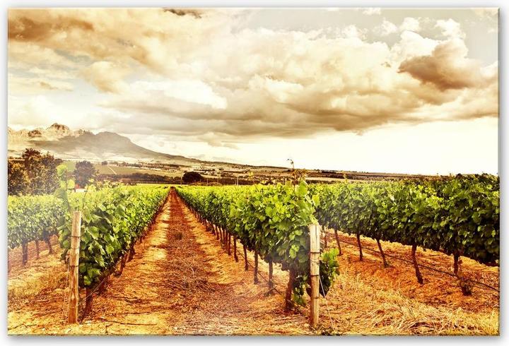 Immagine prodotto Trenddeko Viti in montagna (60 x 40 cm)