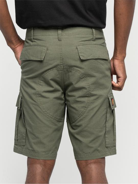 Actual product image Santa Cruz Defeat Workshort (28)