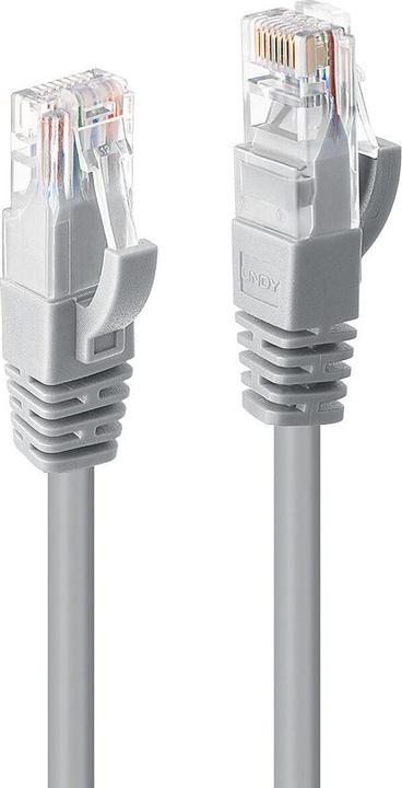 Actual product image Lindy Network cable (U/UTP, CAT6, 5 m)