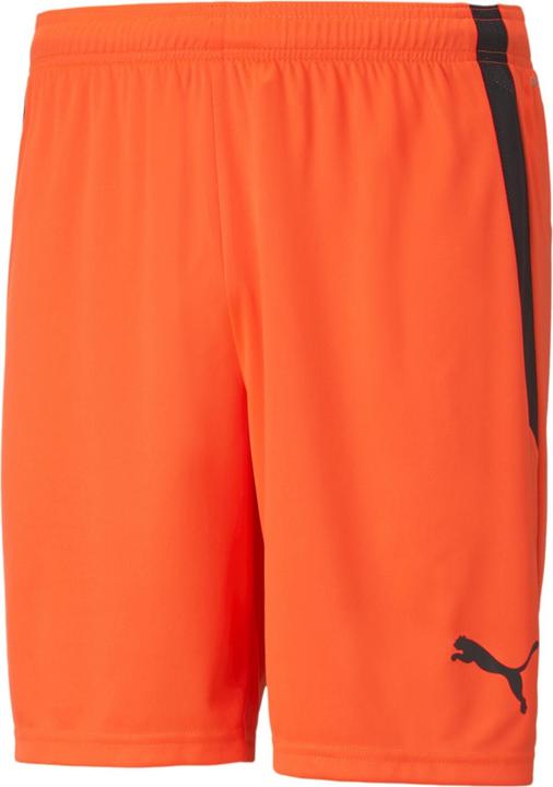 Immagine prodotto Puma pantaloncini teamLIGA-704924 (60)