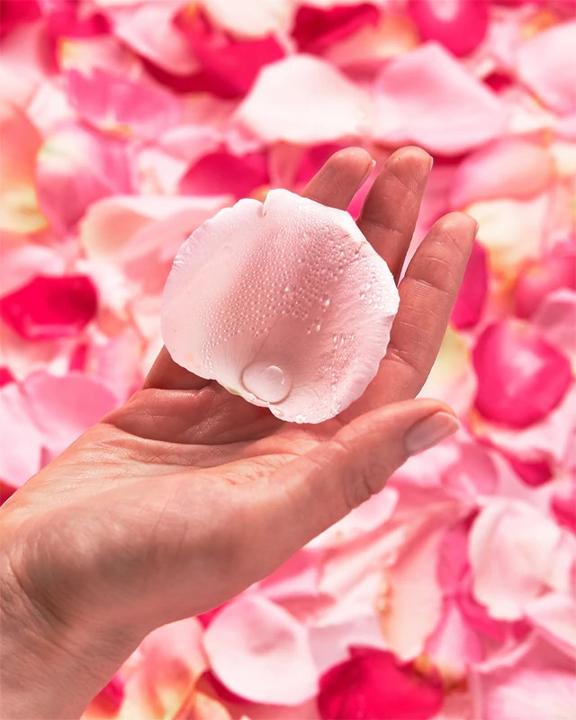 Actual product image Garnier Skin Naturals Micellar Cleansing Rose Water (Micelle water, 400 ml)