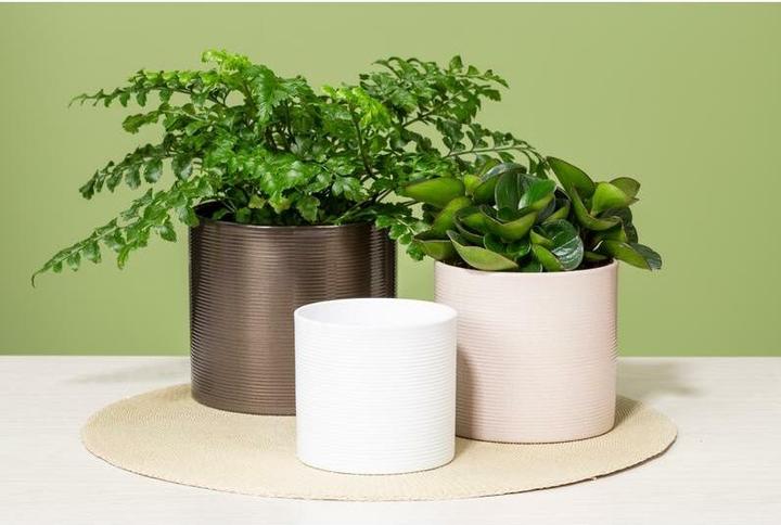 Immagine prodotto Scheurich Vaso da fiori (40 cm)