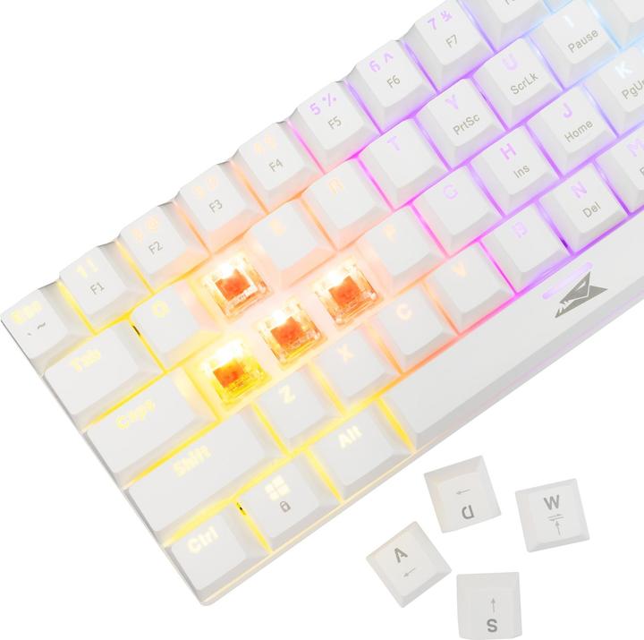 Actual product image Baracuda Computer keyboard BGK-03211 Dolphin White US Mechanical Red Switches (US, Cable)